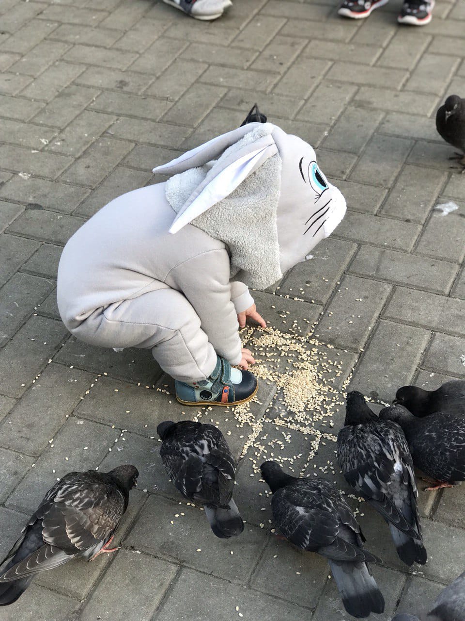 Акция "Покормим птиц зимой" 